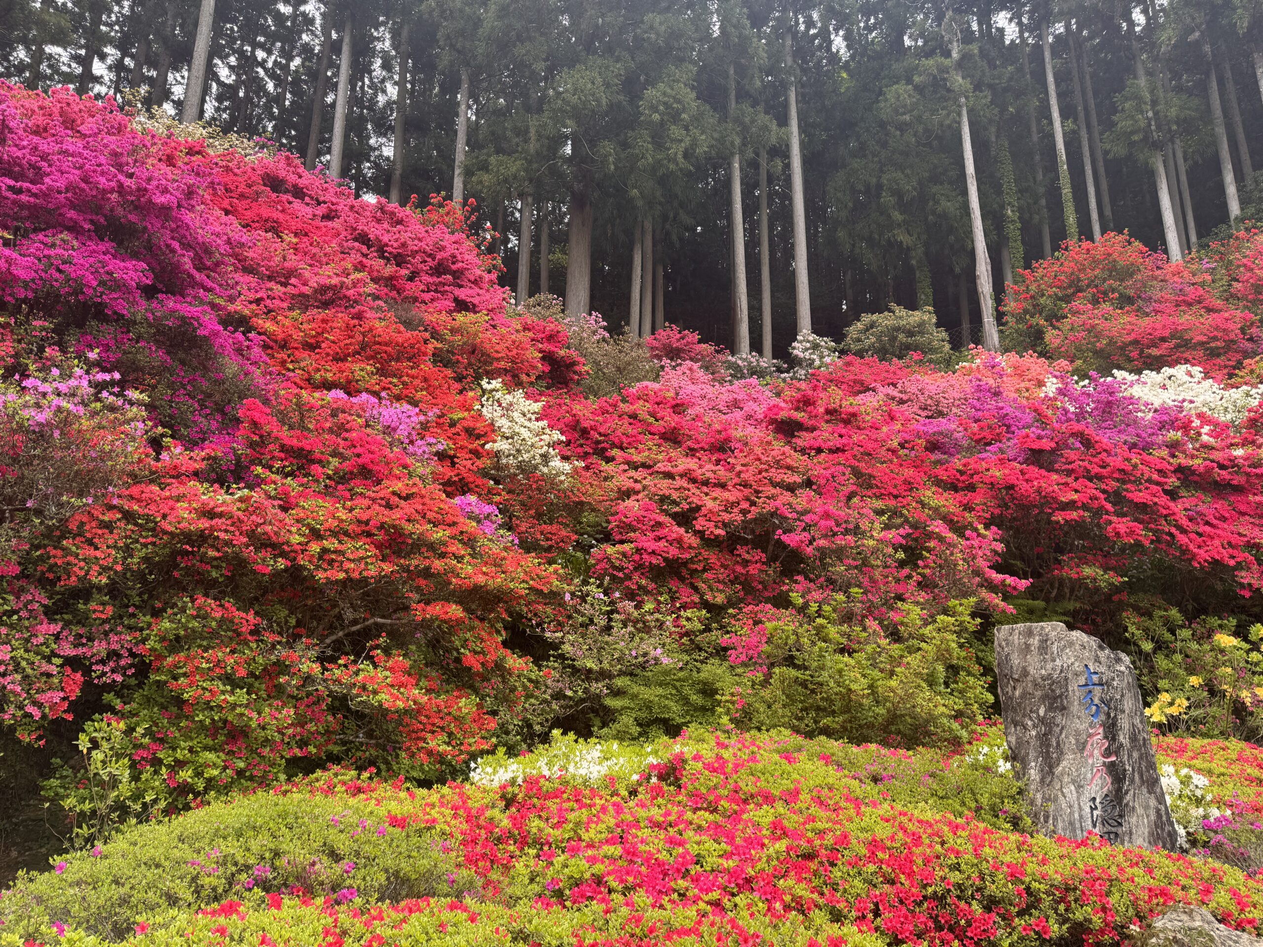 花の隠れ里に行ってきました