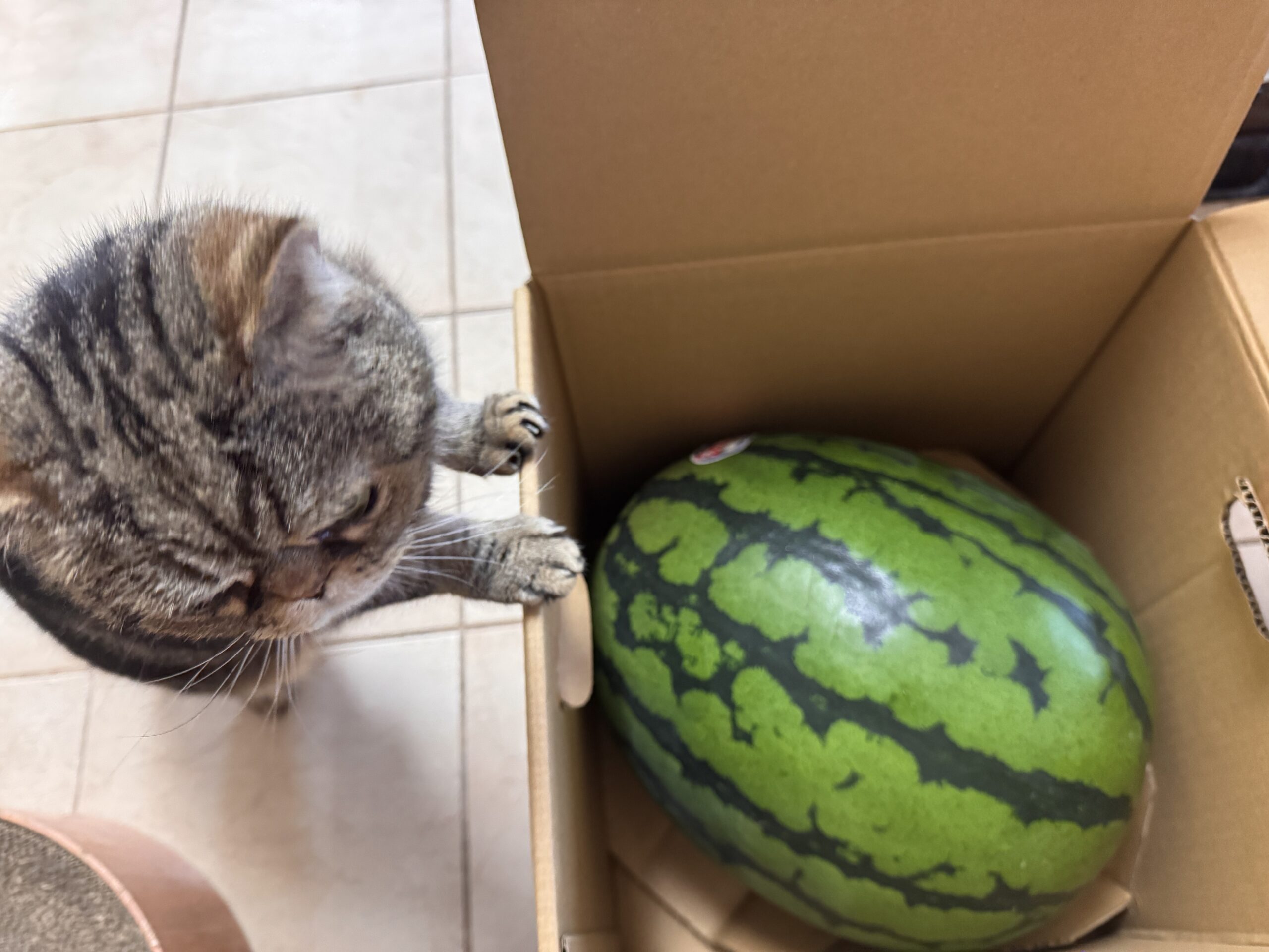 2025年8月休日予定🍉