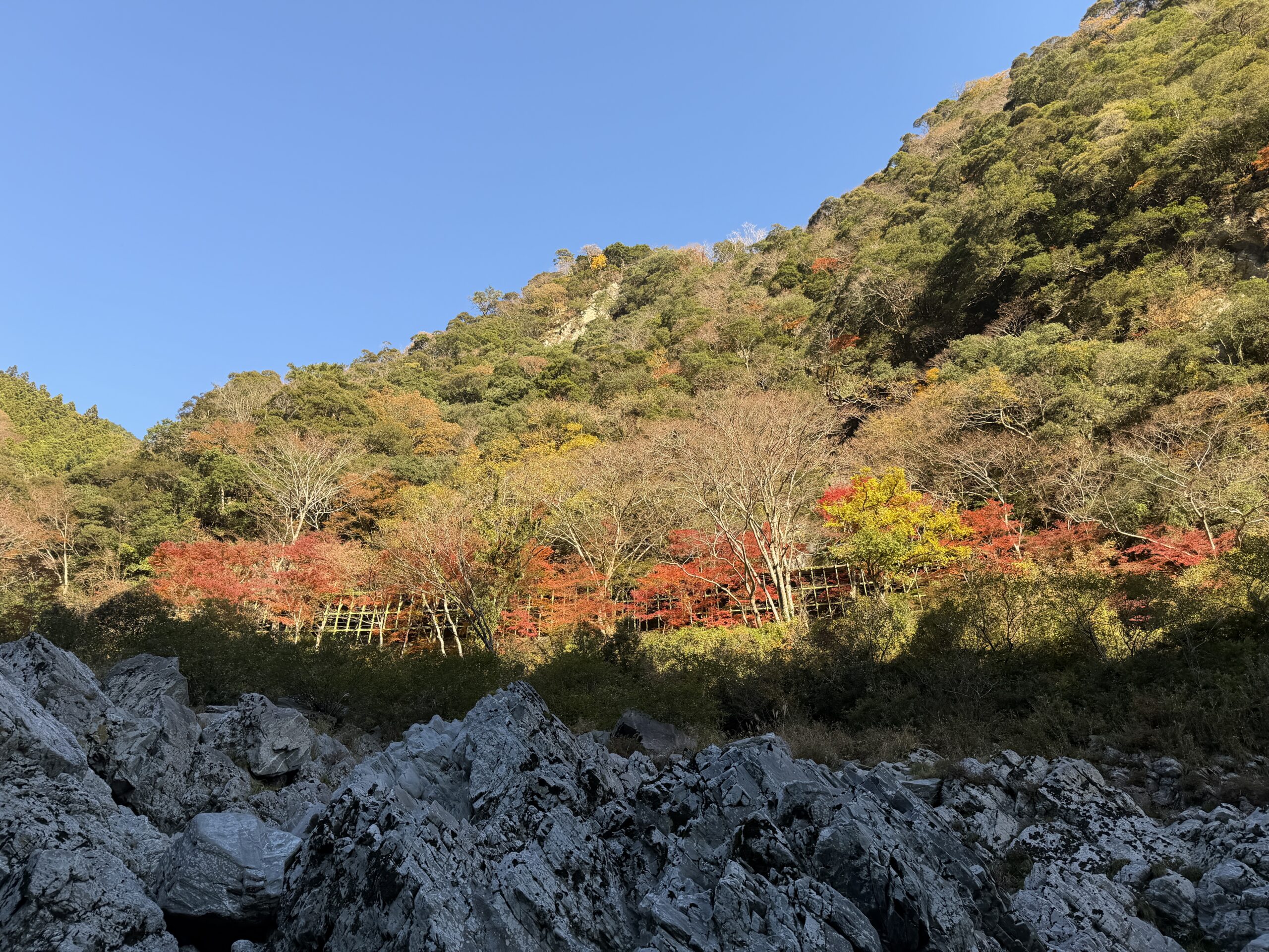 御朱印帳始めました⛩